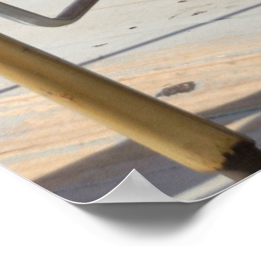 Poster Chevaux joyeux (Coin)