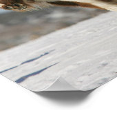 Poster Chevaux miniatures debout dans la neige (Coin)