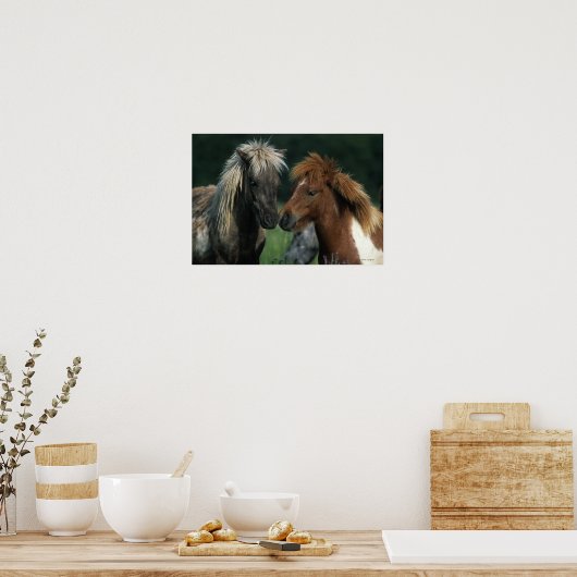 Poster Chevaux miniatures Touchant (Cuisine)
