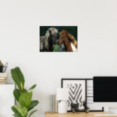Poster Chevaux miniatures Touchant (Bureau à domicile)