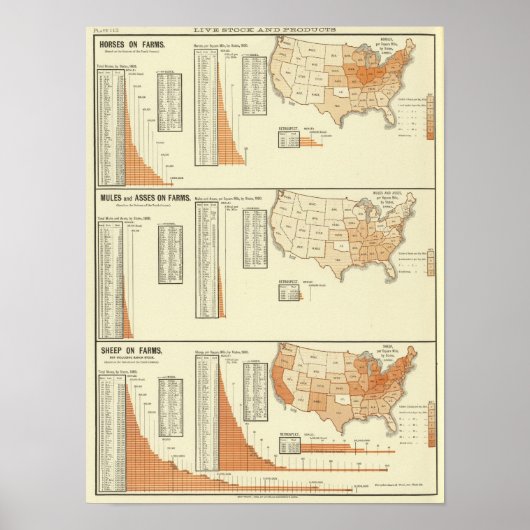 Poster Chevaux, mules, ânes, moutons (Devant)