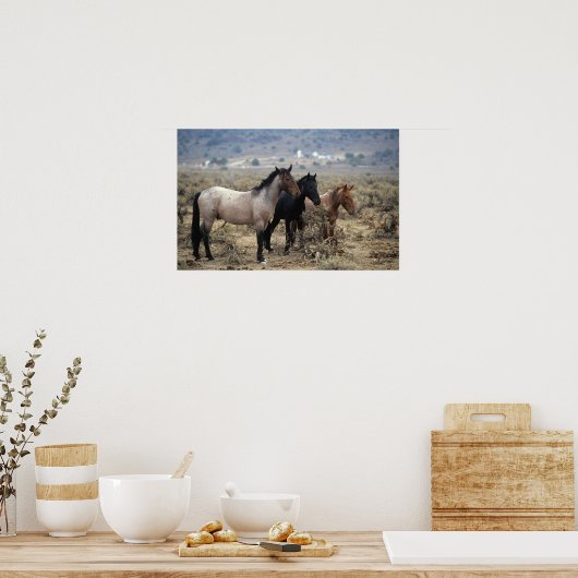 Poster Chevaux Mustang sauvages 5 (Cuisine)