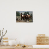 Poster Chevaux Mustang Sauvages 7 (Cuisine)