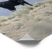 Poster Chevaux Mustang sauvages dans le désert 3 (Coin)