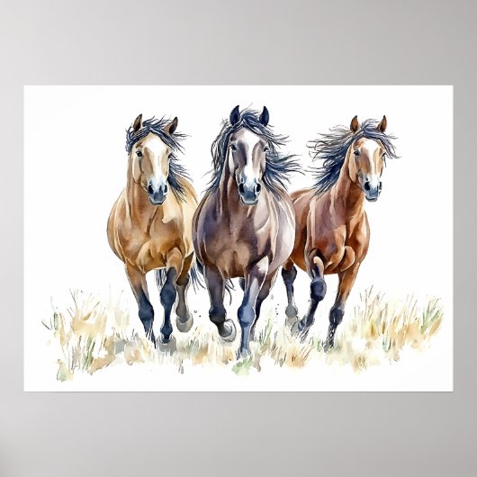 Poster Chevaux mustangs sauvages et libres de l'Ouest (Devant)