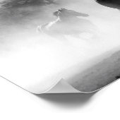 Poster Chevaux noir et blanc (Coin)