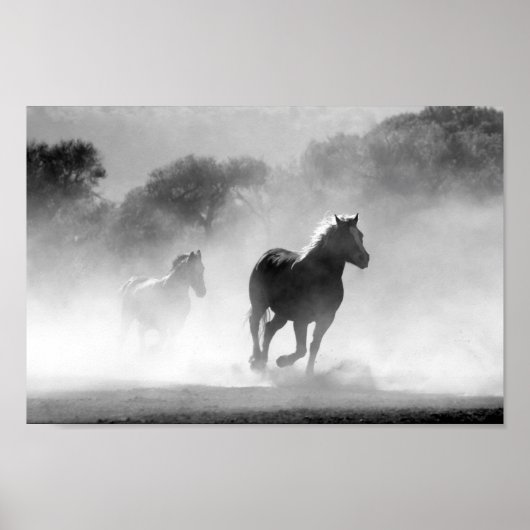 Poster Chevaux noir et blanc (Devant)