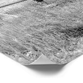 Poster Chevaux noir et blanc — Art de la photographie num (Coin)