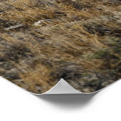 Poster Chevaux Parcourir les collines (Coin)