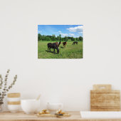 Poster Chevaux pâturés dans un pâturage vert (Cuisine)