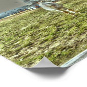 Poster Chevaux Pays rustique Ferme équestre de l'Ouest (Coin)