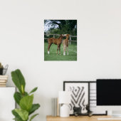 Poster Chevaux - Rbrebis, poulains, (Bureau à domicile)