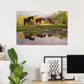 Poster Chevaux réfléchis dans un petit ruisseau, Cades Co (Bureau à domicile)
