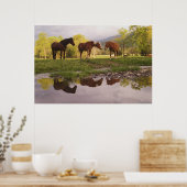 Poster Chevaux réfléchis dans un petit ruisseau, Cades Co (Cuisine)