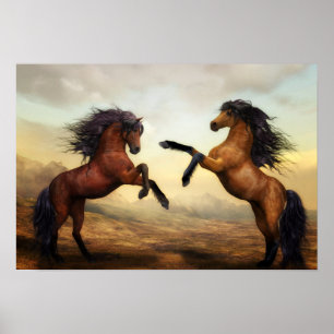 Poster Chevaux sauvages