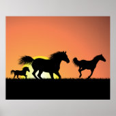 Poster Chevaux sauvages (Devant)