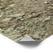 Poster Chevaux sauvages (Coin)