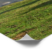 Poster Chevaux sauvages (Coin)