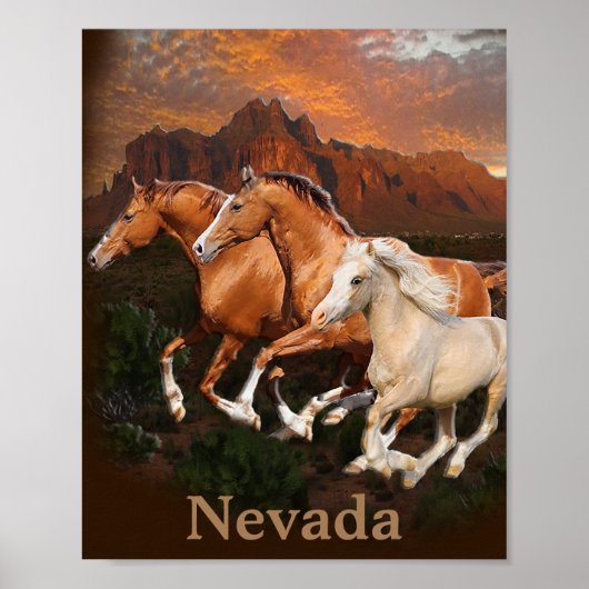 Poster chevaux sauvages (Devant)