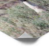 Poster Chevaux sauvages après un bain de poussière (Coin)