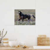 Poster Chevaux sauvages après un bain de poussière (Cuisine)