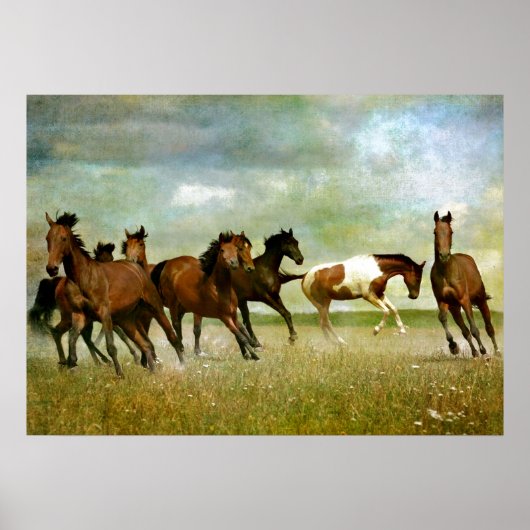 Poster Chevaux sauvages - Art créatif Vintage (Devant)