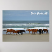 Poster Chevaux sauvages Banques extérieures OBX Corolla N (Devant)