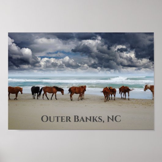 Poster Chevaux sauvages Corolla Outer Banks NC (Devant)