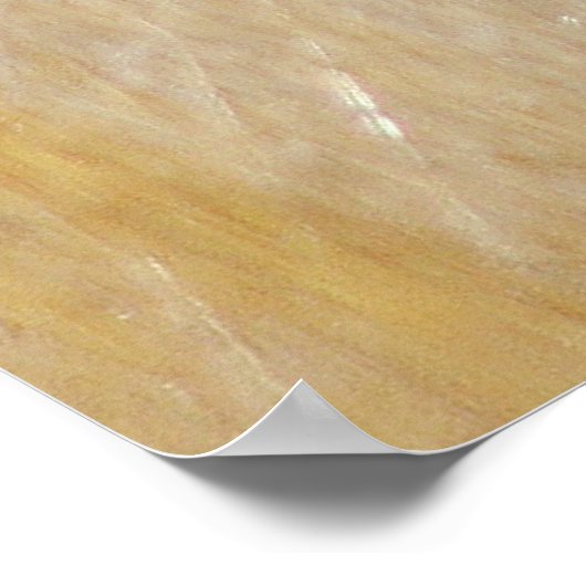 Poster Chevaux sauvages courant (Coin)