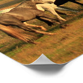 Poster Chevaux sauvages dans l'affiche de la vallée (Coin)