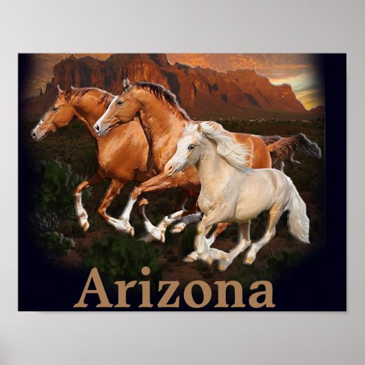 Poster Chevaux sauvages d'Arizona (Devant)
