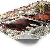 Poster Chevaux sauvages de la vallée de Palomino #6 (Coin)