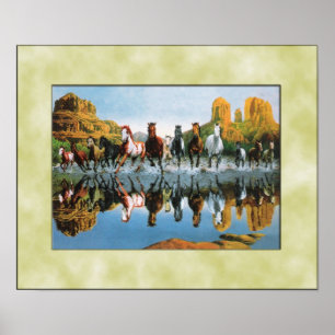 Poster Chevaux sauvages fonctionnant par l'eau