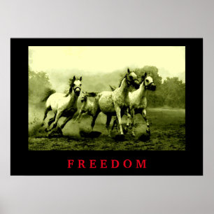 Poster Chevaux sauvages Motivation Liberté Art