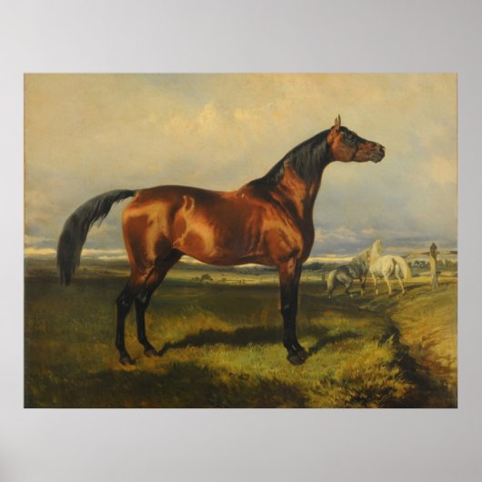 Poster Chevaux sauvages vintages par Alfred de Dreux (Devant)