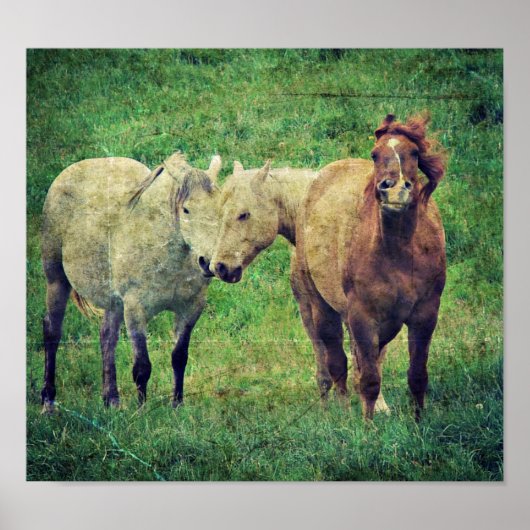 Poster Chevaux stupides (Devant)