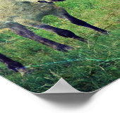 Poster Chevaux stupides (Coin)