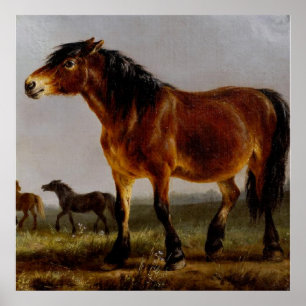 Poster Chevaux sur le paysage plaine