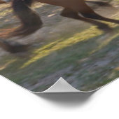 Poster Chevaux sur le ranch, Mongolie Intérieure, Chine (Coin)