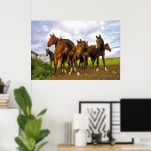 Poster Chevaux sur le terrain (Bureau à domicile)
