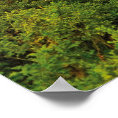 Poster Chevaux sur le terrain (Coin)