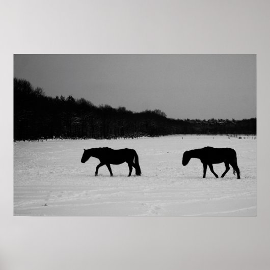 Poster Chevaux sur neige wapcn (Devant)