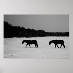 Poster Chevaux sur neige wapcn