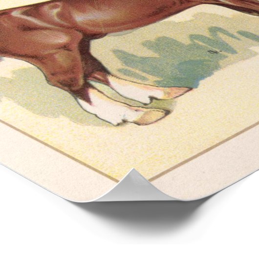 Poster Chevaux vintages (Coin)
