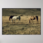 Poster Chevaux vintages (Devant)