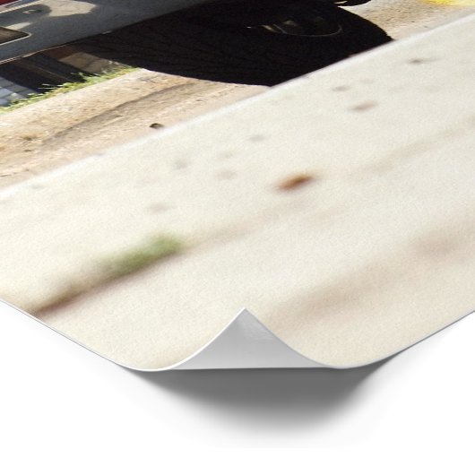 Poster Chevelle 396 1970 (Coin)