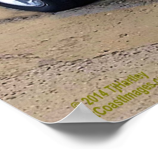 POSTER CHEVELLE SS454 1970 (Coin)