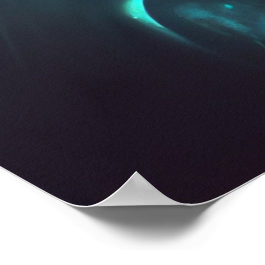 Poster chevelt (Coin)