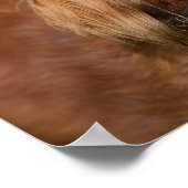 Poster Cheveux miniature rouge (Coin)