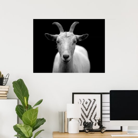 Poster Chèvre (Bureau à domicile)